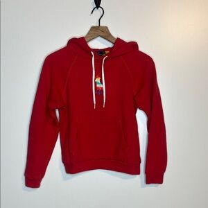 Polo Ralph Lauren shrunken fit big pony fleece hoodie